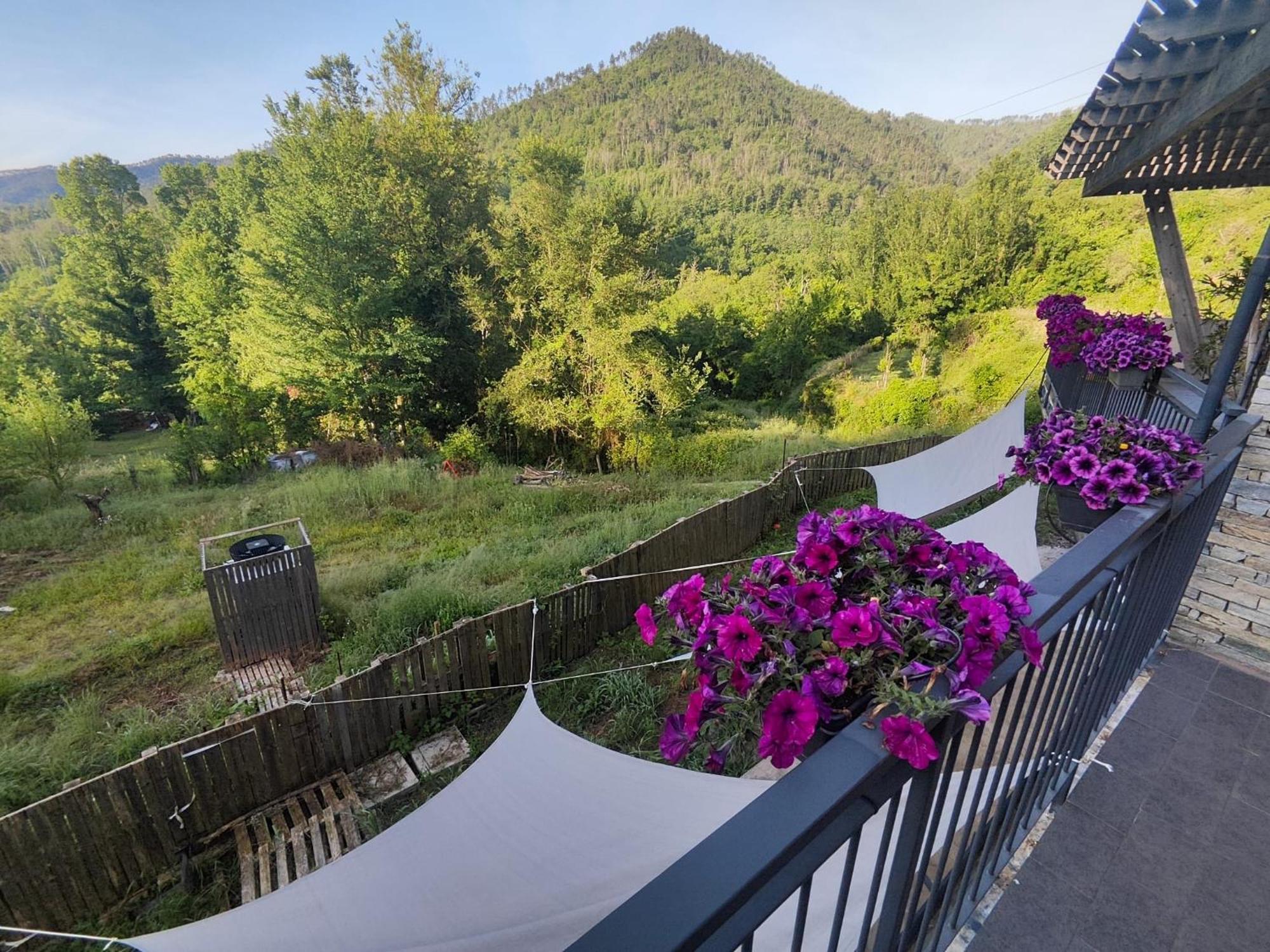 Agriturismo Terre Di Ginepro Borghetto di Vara Buitenkant foto